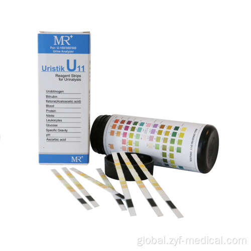 Reader Urinalysis Reagent Strip Urinalysis Reagent Test Strips 2-11 Parameters Factory